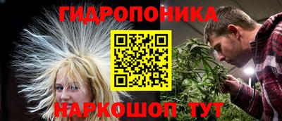 PSILOCYBIN Моздок