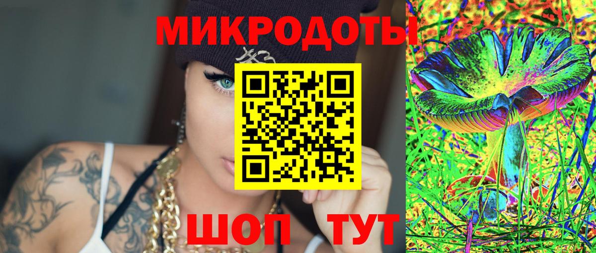 Галлюциногенные грибы Psilocybine cubensis Волжск