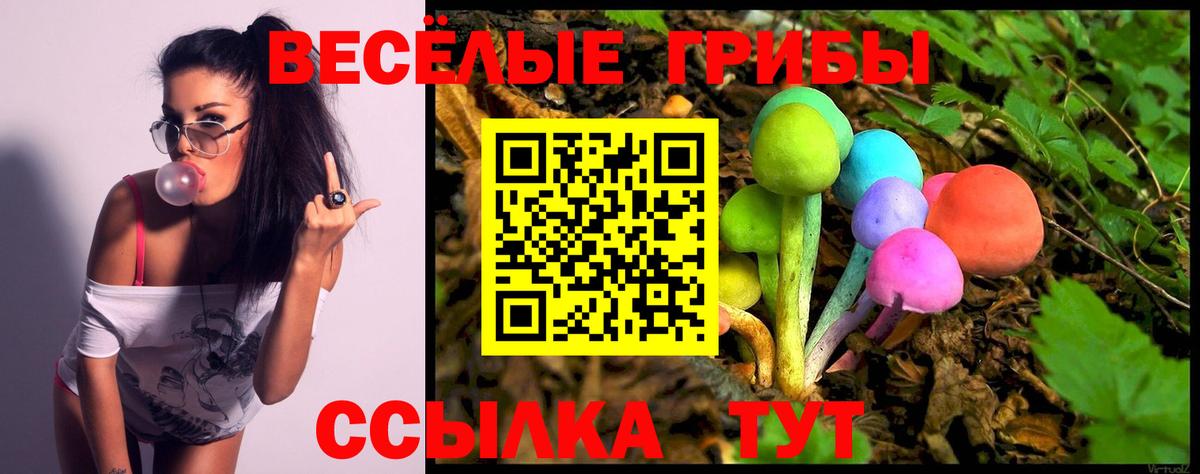 Волжск  цена наркотик  Вход с VPN  Галлюциногенные грибы прущие грибы 